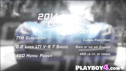 Hottie Babes Washed Blue Corvette Stingray