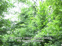 Spicy Beauty Zazie Skymm Gets Outstanding Group Sex