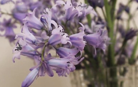 Incredible JOI Session With Smoking Hot Redhead Nurse