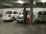 Wild Crazy Couple Fucking In Public Garage