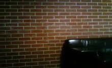 Sexy Small Titted Brunette Judy C