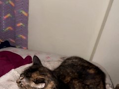 Anal Cookiedough And Release