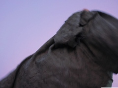 Tushy Feisty Redhead Enjoys Anal