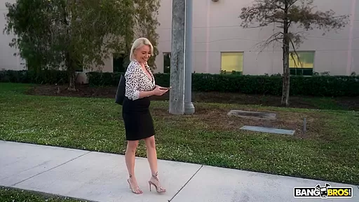 Johnny Love   Business Woman Fucks On The Bus