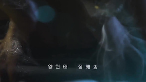 Healing Mate 20 Korean