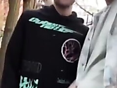 Outdoor Sex In Restricted Area