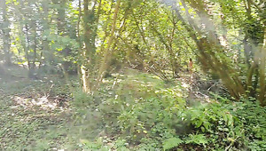 Hot Amateur Outdoor Sex In The Woods: Sexy Girl Gives Me A Blowjob And Then Gets Her Pussy Fucked