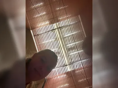 Desi 18 Year Old Indian Teen Goes Wild With Public Hardcore Pussy Fingering And Webcam Play