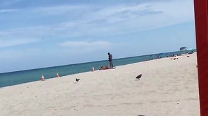 Have You Ever Spotted Seen This?wrath?anger??wrath BONING 2 BROADS At PUBLIC BEACH