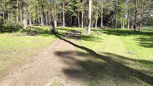 Big Tits Teen Seduced A Stranger In The Woods POV